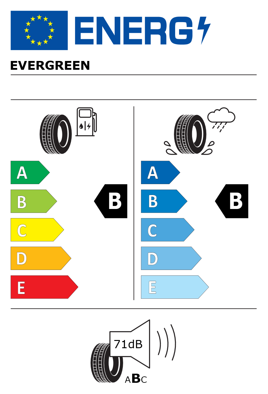 Etichetta energetica per Pneumatico EVERGREEN 215/65 R16 98V EA-719 DYNACOMFORT M+S