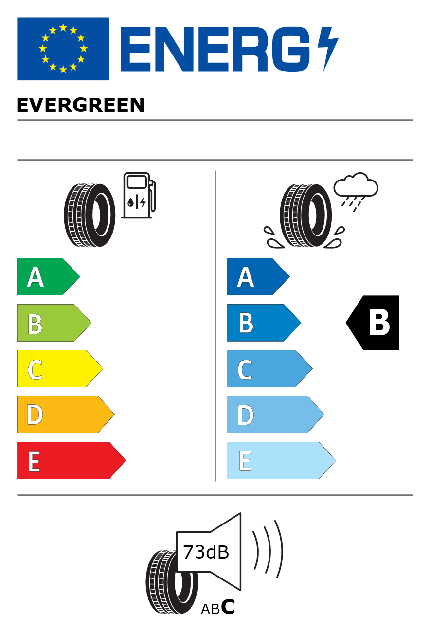 Etichetta energetica per Pneumatico EVERGREEN 195/45 R15 78V EH23 B F