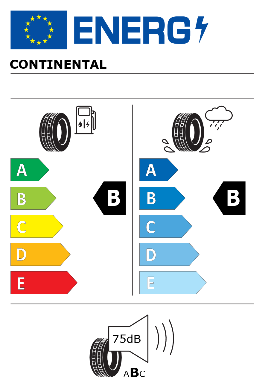 Etichetta energetica per Pneumatico CONTINENTAL 285/40 R23 111V WinterContact TS 870 P M+S Evc FR XL